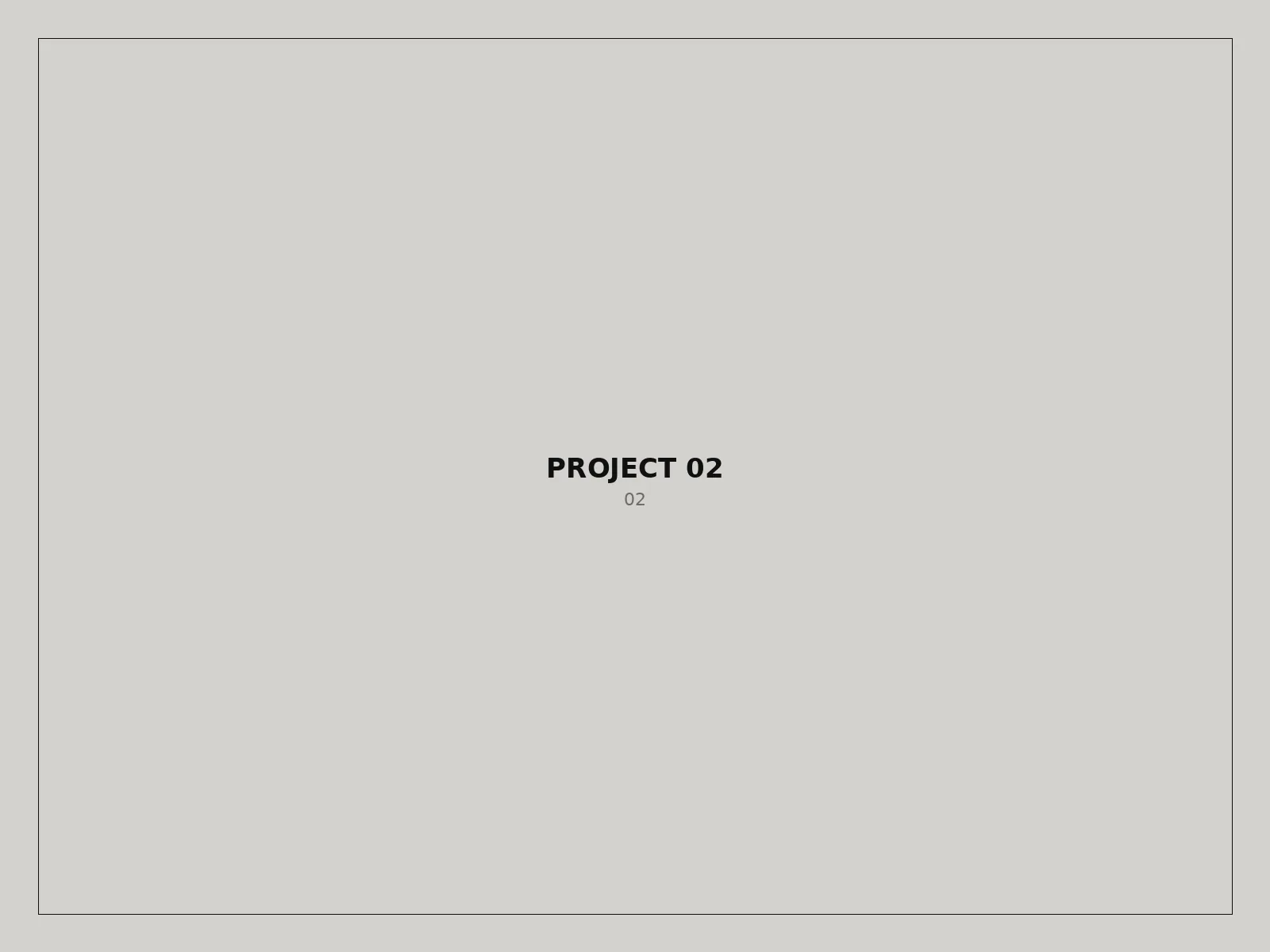 Project 02 — detail visual
